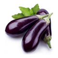 Aubergine-Patlıcan