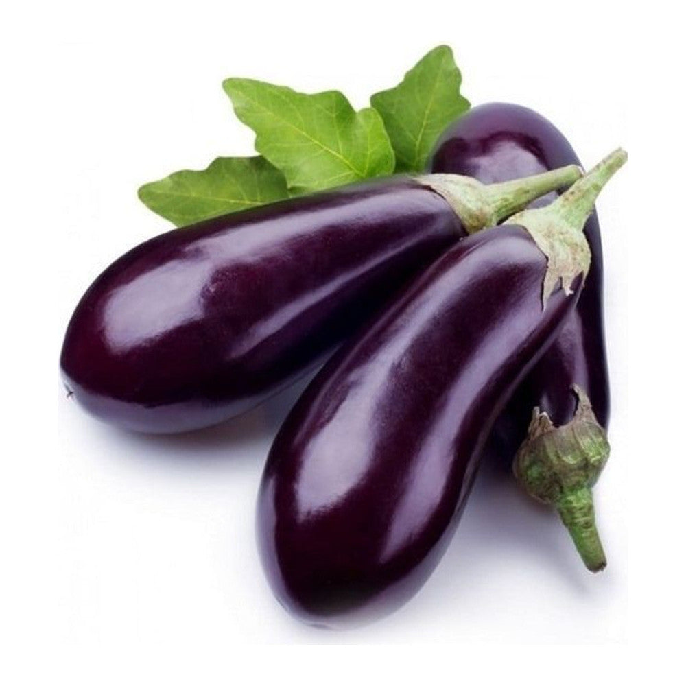 Aubergine-Patlıcan