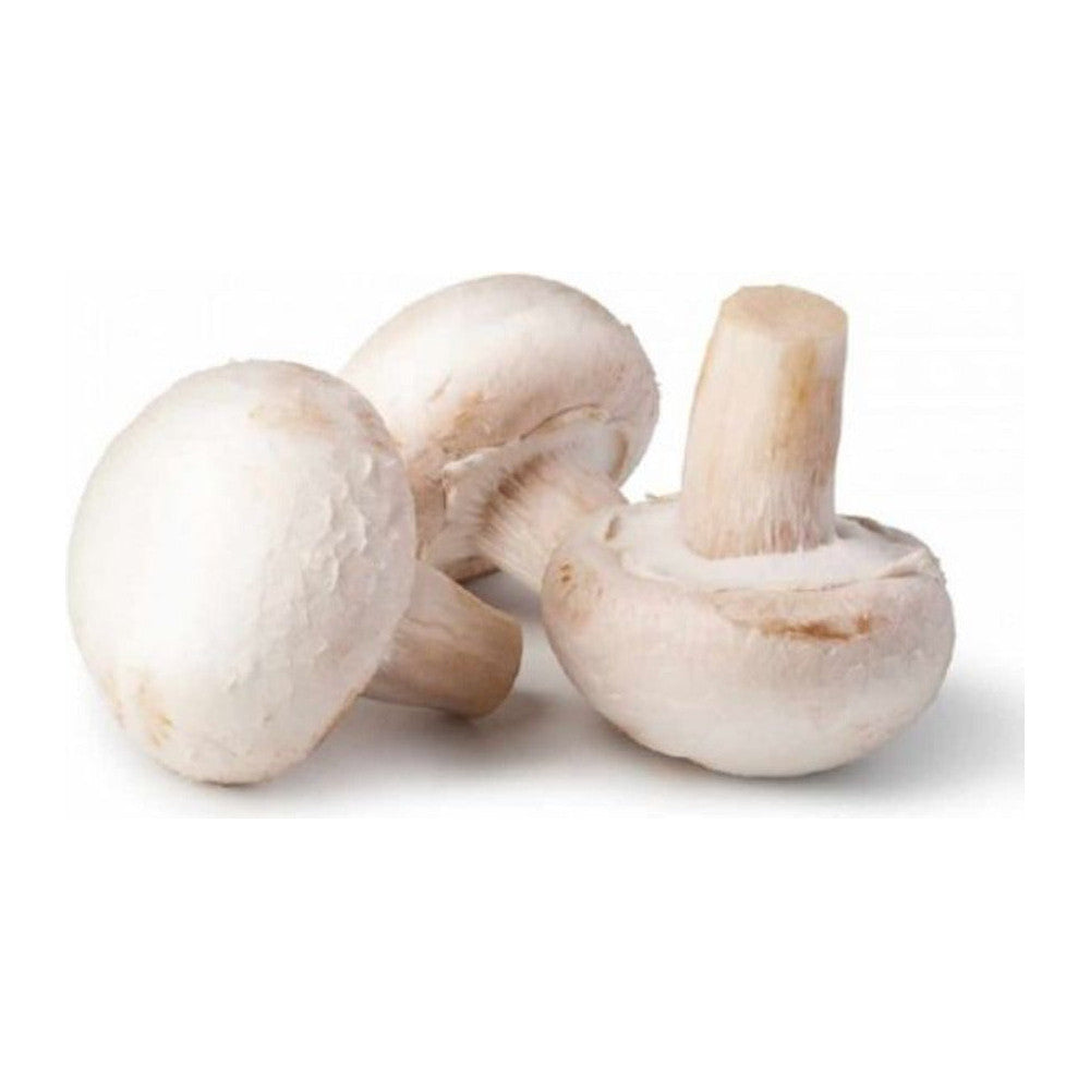 Champignon-Mantar 500g