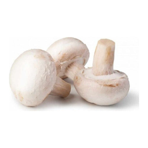 Champignon-Mantar 500g