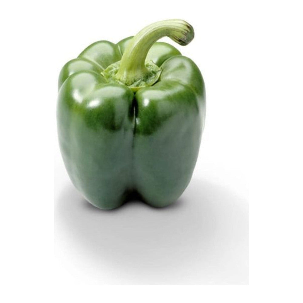 Groene Paprika-Yeşil Biber