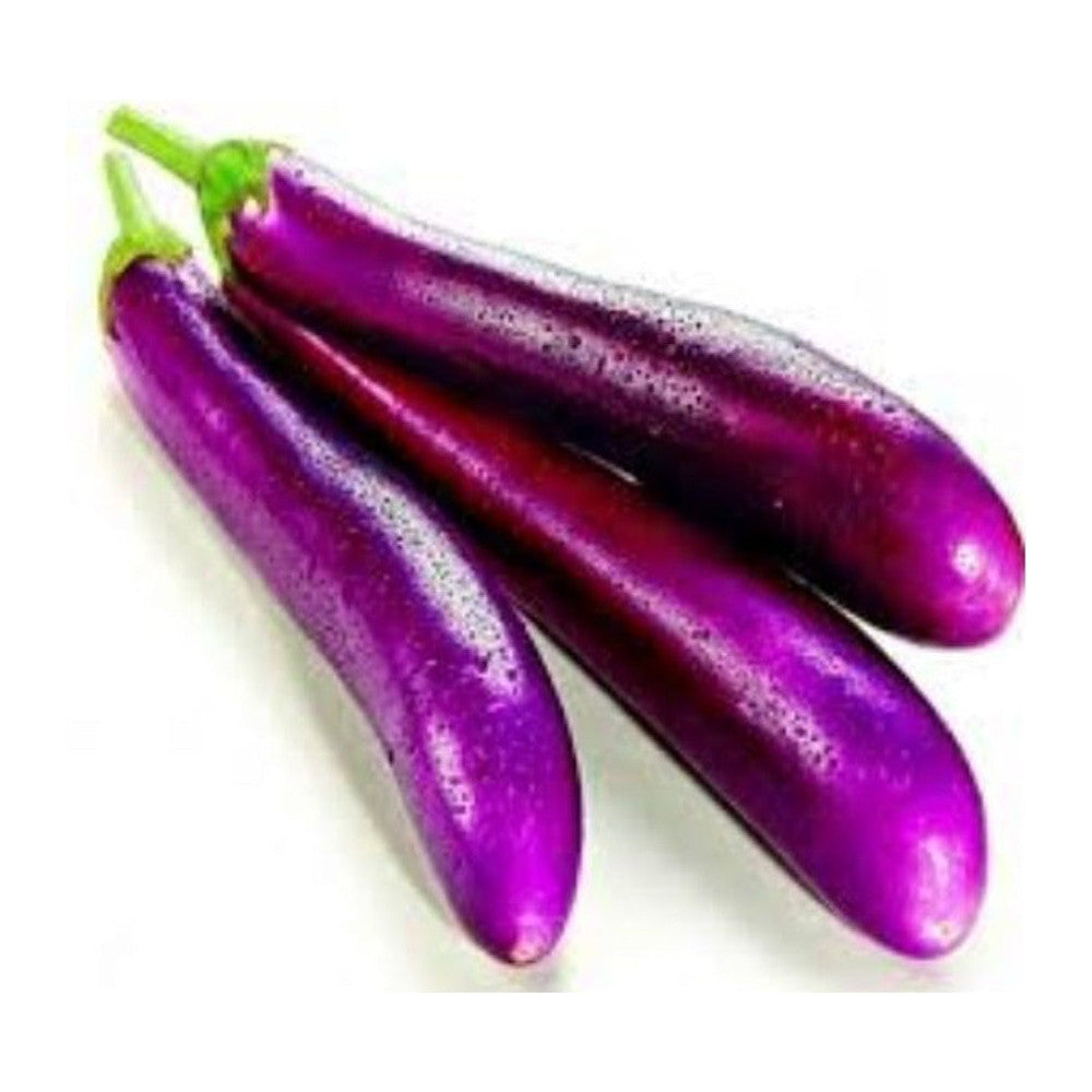 Lange Aubergine-Uzun Patlıcan