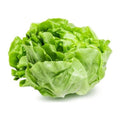 Kropsla