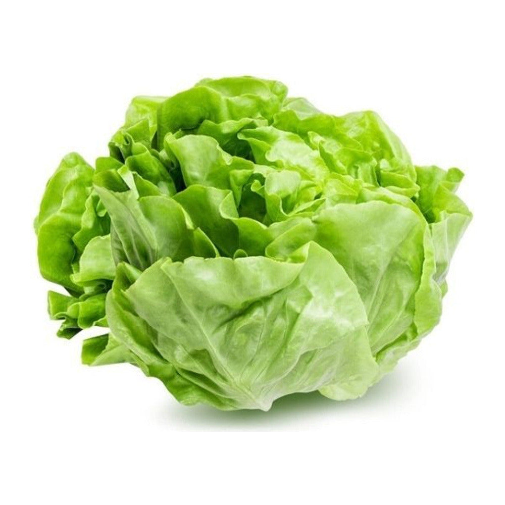 Kropsla