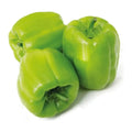 Favori-Tad Domates Salçası 4200G